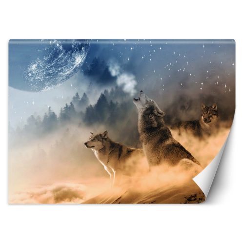 Wall mural,  wolves animals forest nature - 100x70 cm