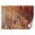 Fotótapéta, Pitypang harmatcsepp barna - 400x280 cm