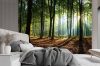 Wall mural, Morning in the forest - 100x70 cm