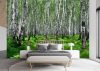 Wall mural, Birch Forest Nature Plants - 100x70 cm