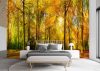 Wall mural, Autumn Forest Nature - 100x70 cm