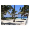 Fotótapéta, Maldív-szigetek Palm Paradise Beach - 100x70 cm