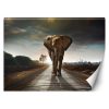 Fotótapéta, Elefánt az úton Állat Afrika - 150x105 cm
