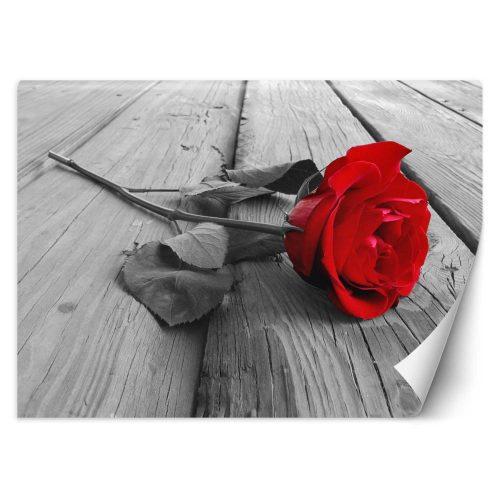 Fotótapéta, Vörös rózsa virágok Retro - 100x70 cm