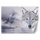 Fotótapéta, Farkas a ködben Természet állatok - 100x70 cm