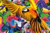 Vlies Fotótapéta - Colored parrot with colorful paint - 375x250 cm