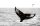 Vlies Fotótapéta - Whale in the sea - 375x250 cm
