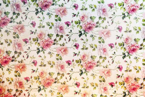 Vlies Fotótapéta - Small roses - 375x250 cm