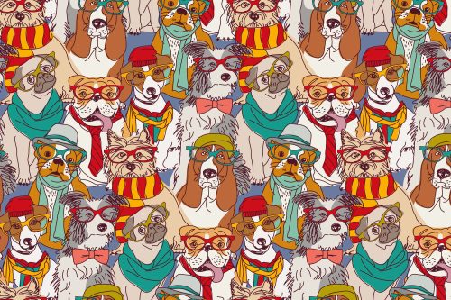 Vlies Fotótapéta - Hipster pets II - 375x250 cm