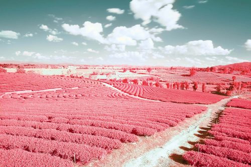 Vlies Fotótapéta - Infrared landscape - 375x250 cm