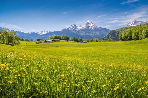 Vlies Fotótapéta - Idyllic Alpine view - 375x250 cm