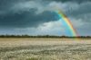 Vlies Fotótapéta - Rainbow over chamomile field - 375x250 cm