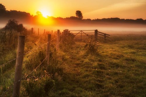 Vlies Fotótapéta - Foggy English countryside - 375x250 cm