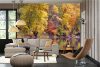 Vlies Fotótapéta - Reflections of autumn trees - 375x250 cm