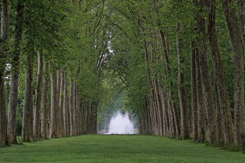 Vlies Fotótapéta - Park of Versailles - 375x250 cm