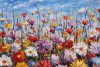 Vlies Fotótapéta - Field flowers on canvas - 375x250 cm