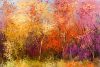 Vlies Fotótapéta - Colorful autumn trees - 375x250 cm