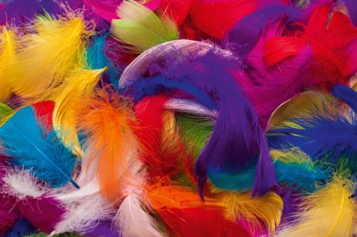 Vlies Fotótapéta - Colorful feather background - 375x250 cm