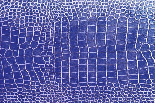 Vlies Fotótapéta - crocodile skin texture - 375x250 cm