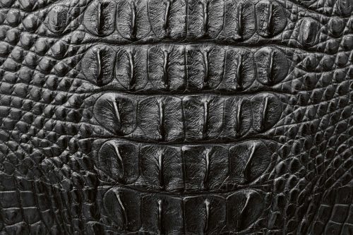 Vlies Fotótapéta - grey crocodile skin - 375x250 cm