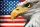 Vlies Fotótapéta - Eagle Portrait with US Flag - 375x250 cm