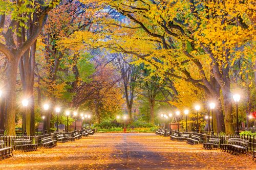 Vlies Fotótapéta - Central Park in Autumn - 375x250 cm