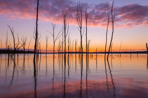 Vlies Fotótapéta - Manasquan reservoir - 375x250 cm