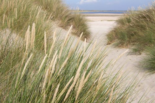 Vlies Fotótapéta - Sandy dunes - 375x250 cm