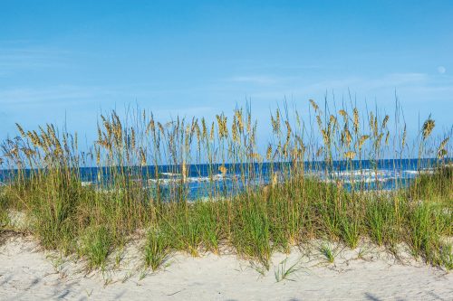 Vlies Fotótapéta - Grass at the beach - 375x250 cm