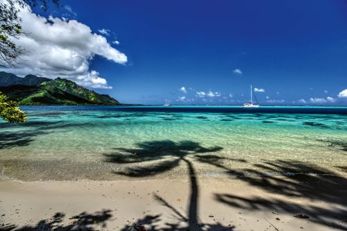 Vlies Fotótapéta - Moorea beach - 375x250 cm