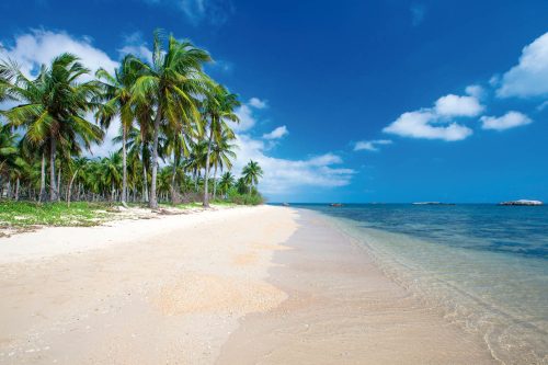 Vlies Fotótapéta - Palms on the beach - 375x250 cm